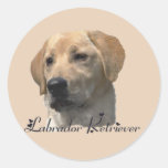 Regalos del labrador retriever pegatina redonda