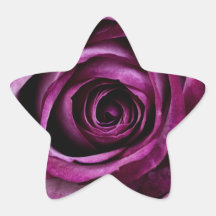Regalos femeninos de los pétalos color de rosa púr calcomanía cuadrada personalizada