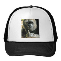 Regalos Mono-peineta Gorras