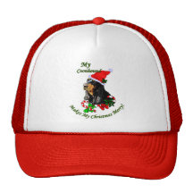 Regalos negros y del moreno del Coonhound del navi Gorra