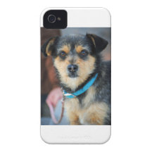 Regis iPhone 4 Case-Mate Cobertura