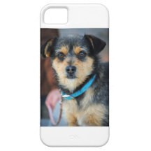 Regis iPhone 5 Case-Mate Protector