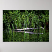 Registro del agua poster