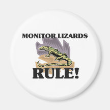 ¡Regla de los LAGARTOS de MONITOR! Iman