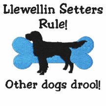 Regla de los organismos de Llewellin Polo