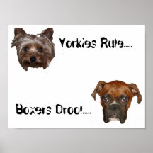 Regla de Yorkies Poster