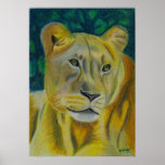 Reina de la selva poster