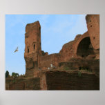 Reino de las gaviotas poster