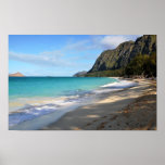 Relaje la impresión hawaiana del estilo impresiones
