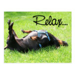Relájese consiguen el pozo - Dachshund - Hoover Tarjeta Postal