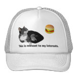 Relevante a mi casquillo de Lolcat de los interese Gorro De Camionero