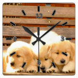 Reloj de 3 perritos (con números)