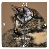 ¡Reloj de pared de los gatitos en cualquier moment reloj de pared