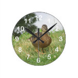 Reloj de pared femenino del pato del pato silvestr