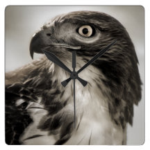 reloj de pared Rojo-atado del halcón