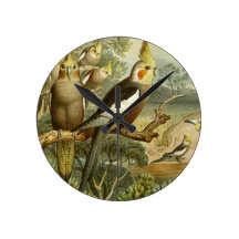 Reloj del cockatiel del vintage relojes de pared