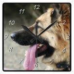 Reloj del cuadrado del perro de pastor alemán