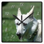 Reloj del cuadrado del perro de pastor alemán