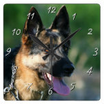 Reloj del cuadrado del perro de pastor alemán