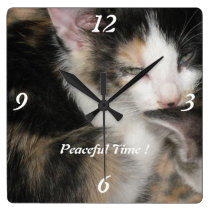 ¡Reloj pacífico del gatito del tiempo! reloj de pared