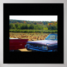 Remiendo de la calabaza y coches viejos poster
