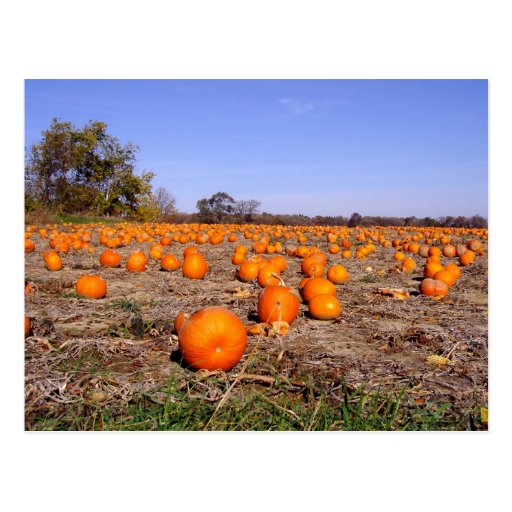 Remiendo-postal de la calabaza