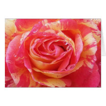 remolino amarillo rojo subió felicitaciones
