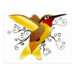 Remolino del colibrí tarjeta postal