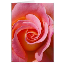 Remolino del rosa tarjeta