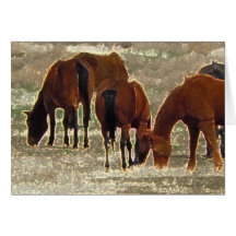 Remuda Herd de buen señor en condolencia del cielo Tarjetón