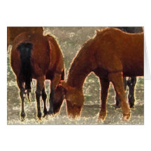 Remuda Herd Friends de buen señor en cielo Felicitaciones