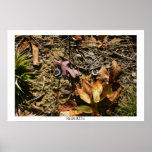 Renacimiento Posters