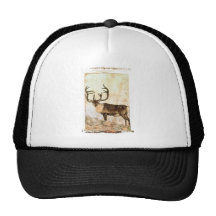 Reno Gorro