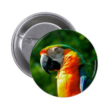 Repita mecánicamente para la venta 2 pins