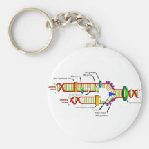 Réplica de la DNA Llaveros Personalizados