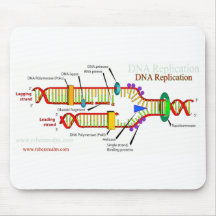 Réplica de la DNA Tapetes De Raton