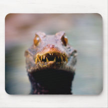 reptil alfombrillas de ratón