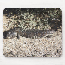 Reptil que oculta bajo ramas del árbol alfombrillas de ratón