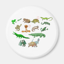 reptiles coleção de répteis ilustração didático imãs