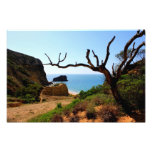 República Dominicana de la playa del zapato de Mon Arte Fotografico