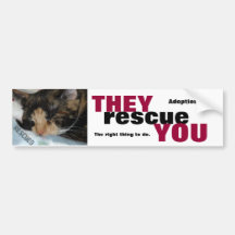 RESCATE ANIMAL BUMPERSTICKER PEGATINA DE PARACHOQUE