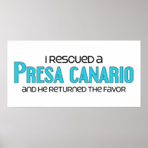 Rescaté un Presa Canario (el perro masculino) Impresiones