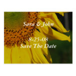 Reserva amarilla del girasol la postal del boda de
