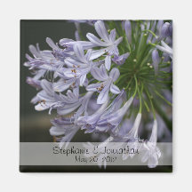 Reserva azul del Agapanthus el imán de la fecha