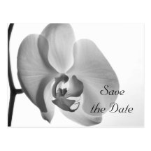 Reserva blanca del boda de la orquídea la postal d