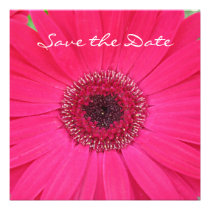 Reserva de la margarita del Gerbera de las rosas f invitaciones