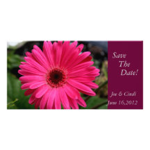 Reserva "de la margarita rosada del Gerbera" la fe Tarjetas Personales Con Fotos
