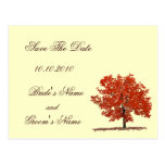 Reserva del árbol de la caída la postal de la fech