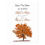 Reserva del árbol de la caída la postal de la fech