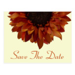 Reserva del boda de la caída la postal del girasol